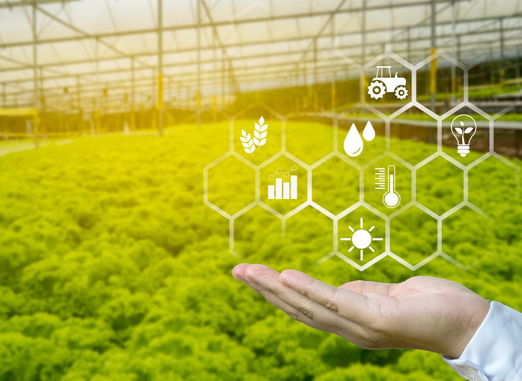 Agriculture